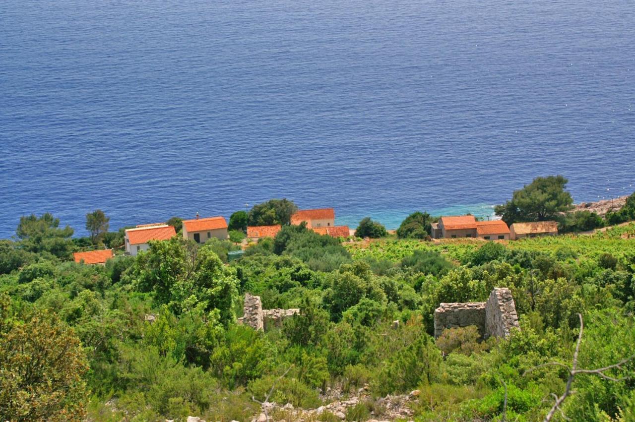Apartments By The Sea Dingac - Potocine, Peljesac - 4533 Potomje 外观 照片