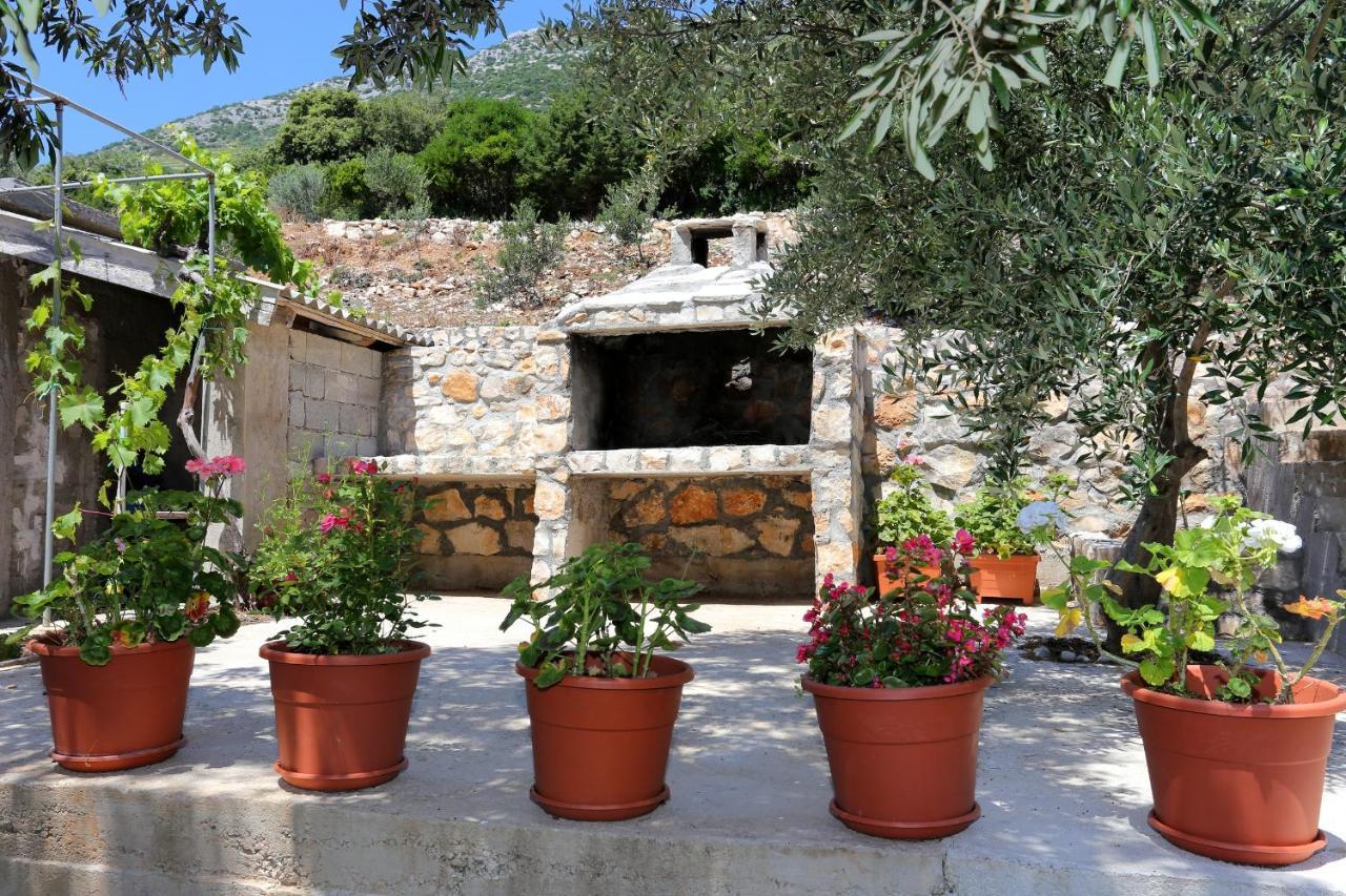 Apartments By The Sea Dingac - Potocine, Peljesac - 4533 Potomje 外观 照片